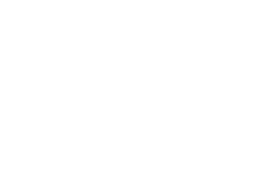 libertadores-img