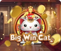 big-win-cat-icon-img