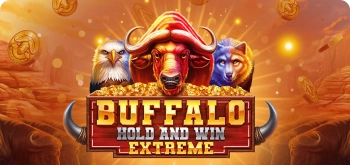 buffalo-race-casino-img