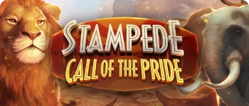 stampede-wizard-img