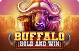 buffalo-hold-and-win-booming-games-img